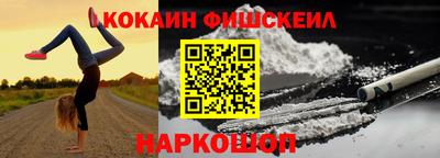 крисы Кулебаки