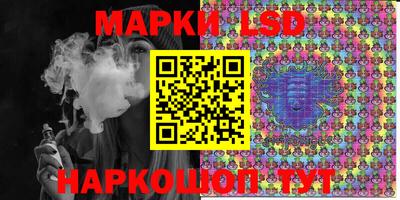 крисы Кулебаки