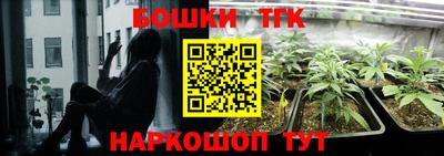 крисы Кулебаки