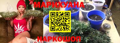крисы Кулебаки