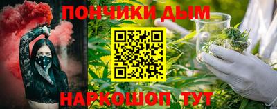 крисы Кулебаки