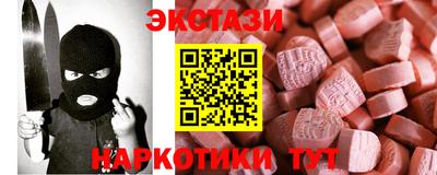 крисы Кулебаки