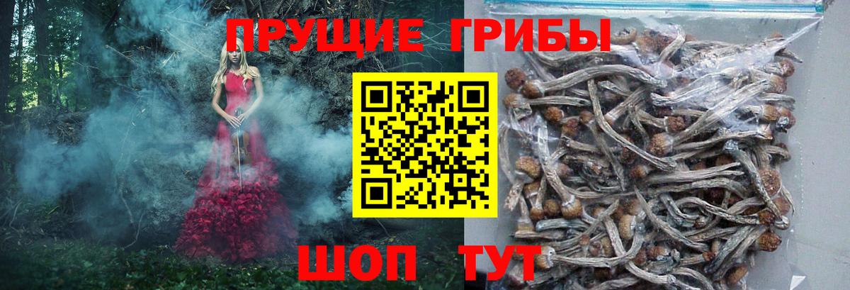 Псилоцибиновые грибы MAGIC MUSHROOMS Донской