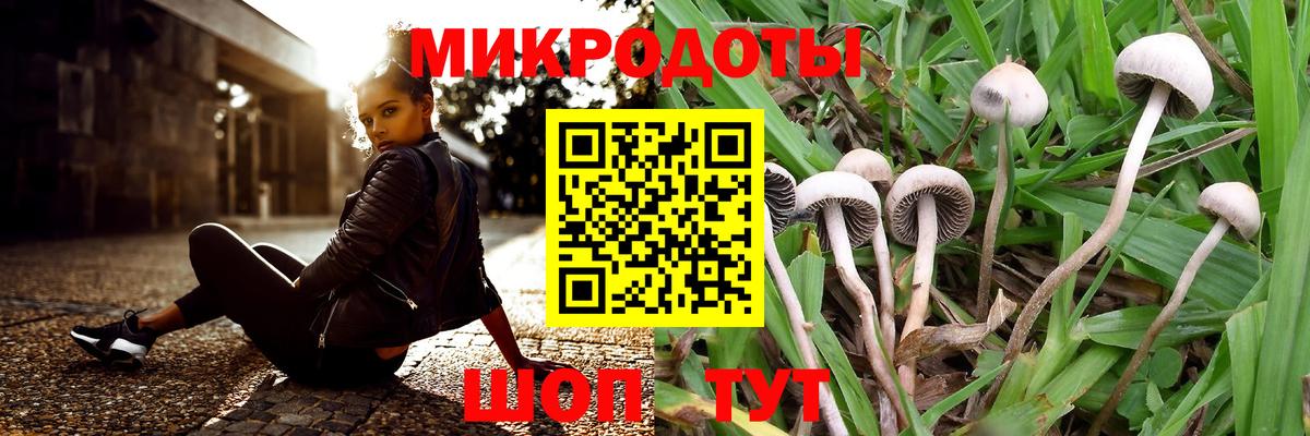 Псилоцибиновые грибы прущие грибы  Псилоцибиновые грибы мицелий  Донской  Вход с VPN 